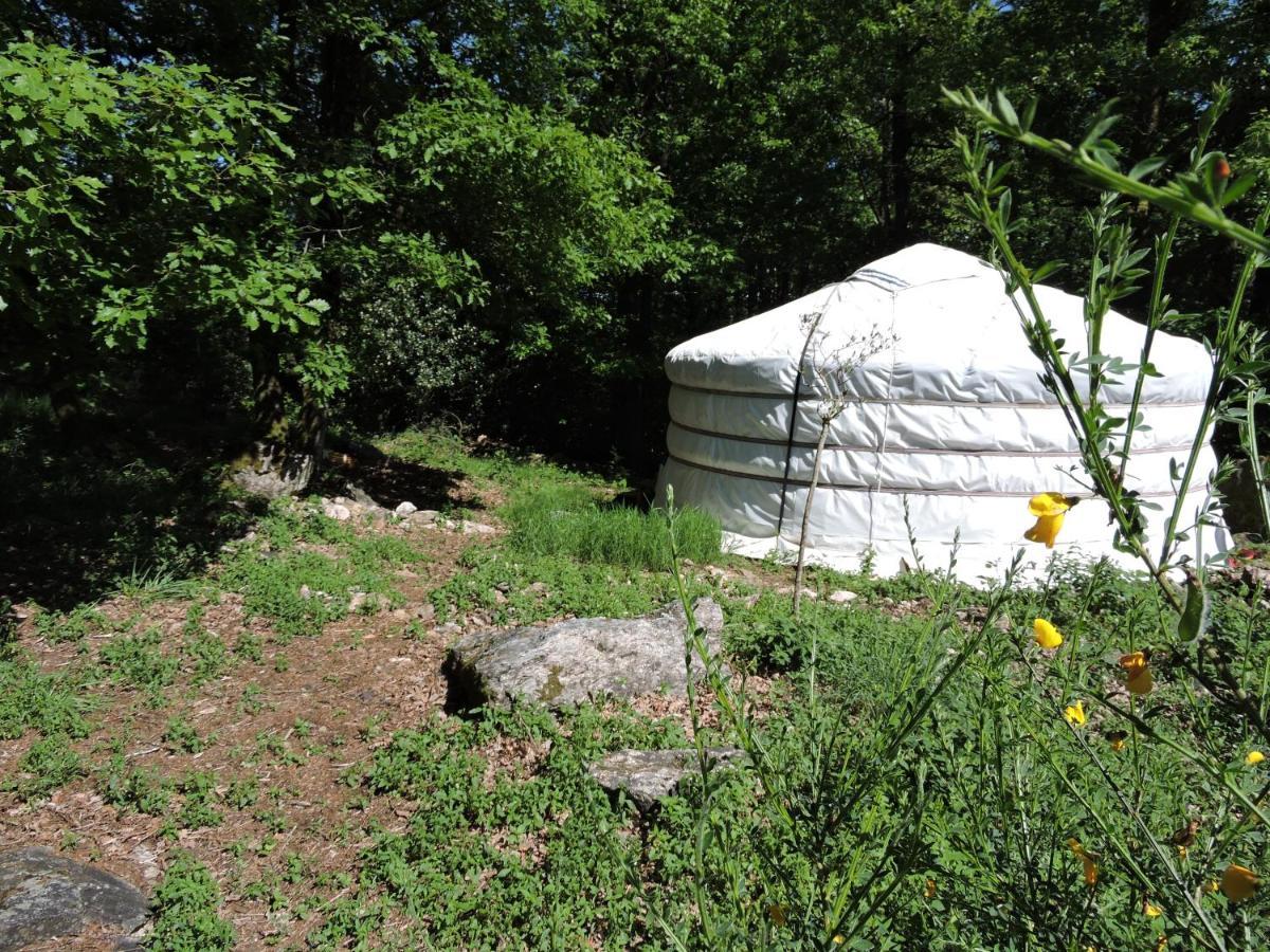 Yourte Mongole Luxury tent Mont-Roc