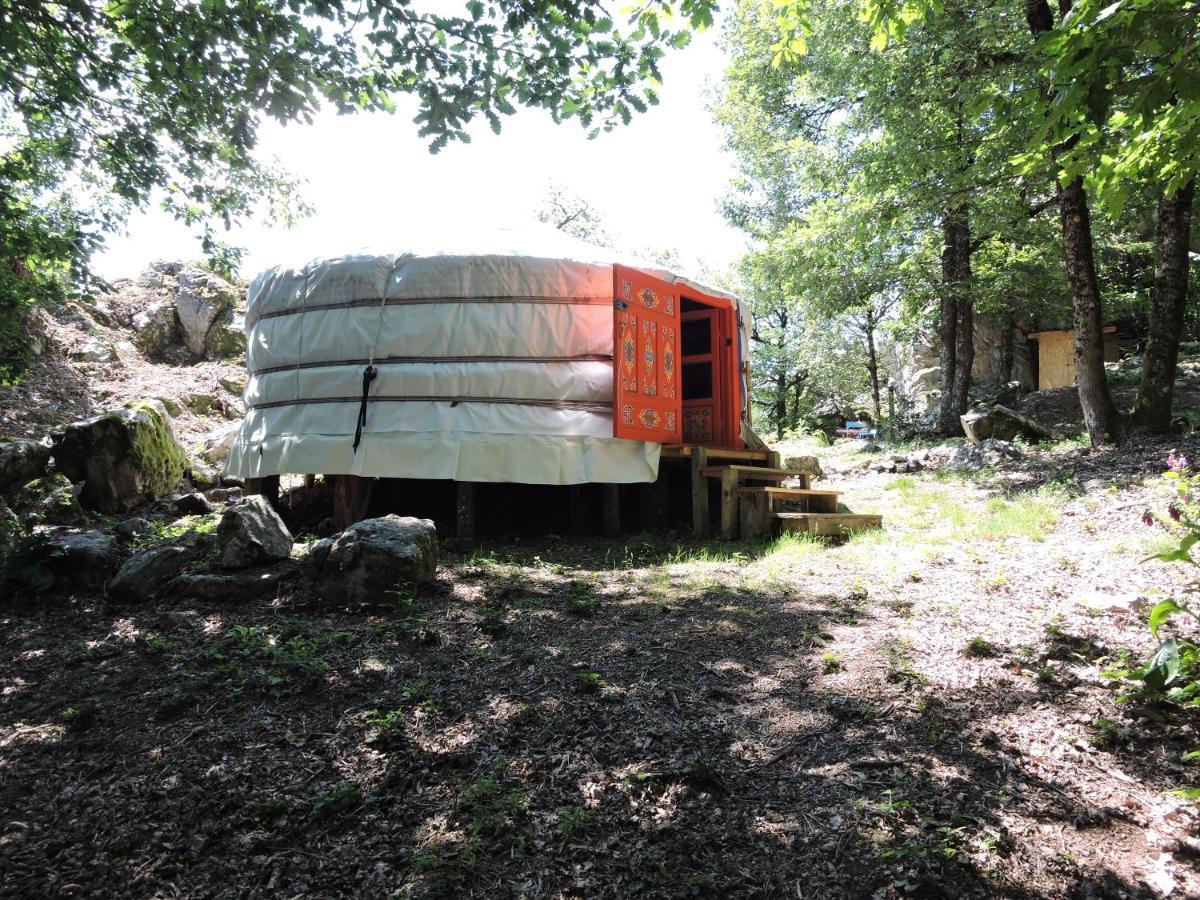 Luxury tent Yourte Mongole